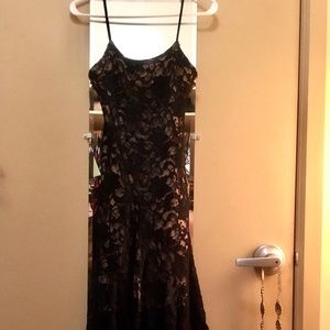 White House | Black Market Lace Dress